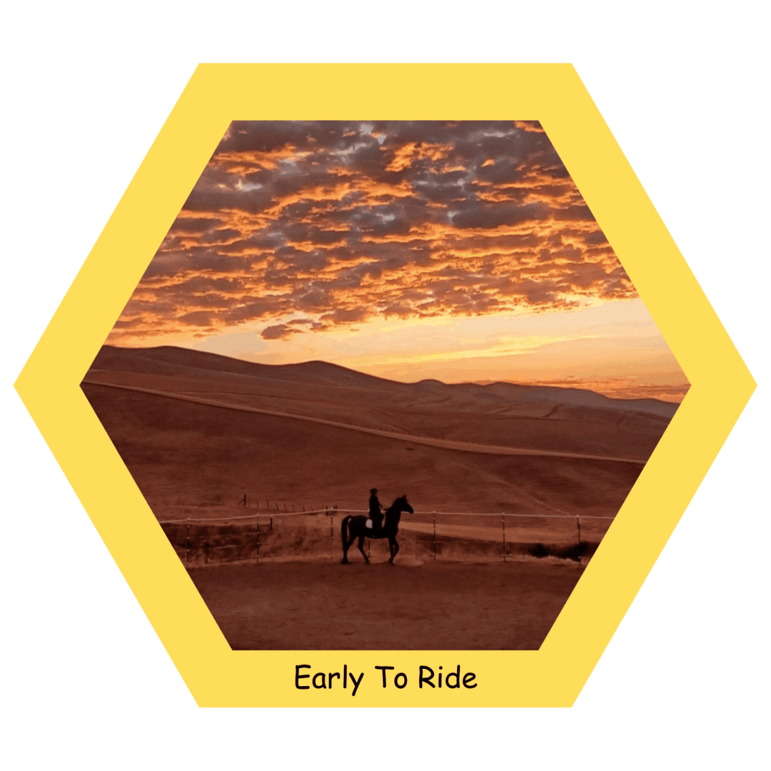 Silhouette of horseback rider at sunrise.