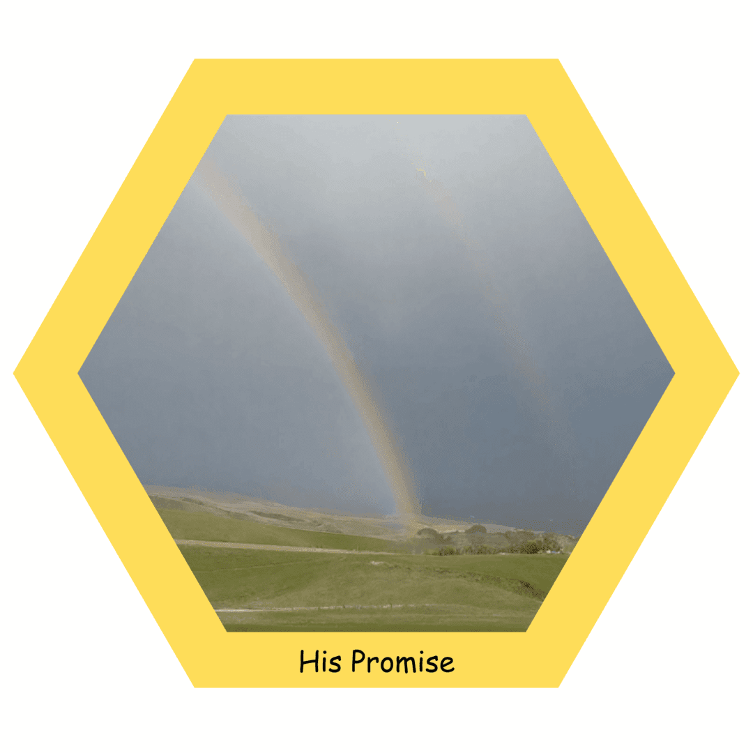 Double rainbow over grassy landscape, yellow hexagon.