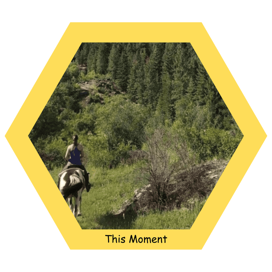 Person horseback riding in forest clearing.